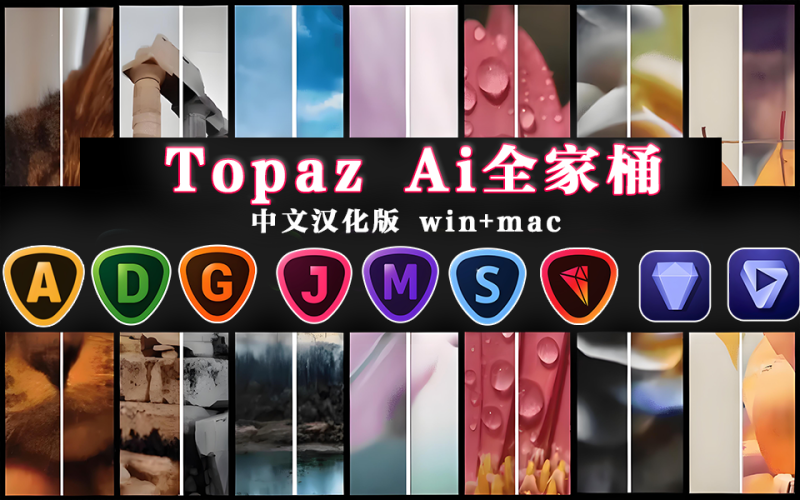 Topaz Ai全家桶-中文汉化版-Win+Mac-含大量Ai模型!930资源库-电脑软件-手机软件-网站插件合集-资源分享网站930资源库